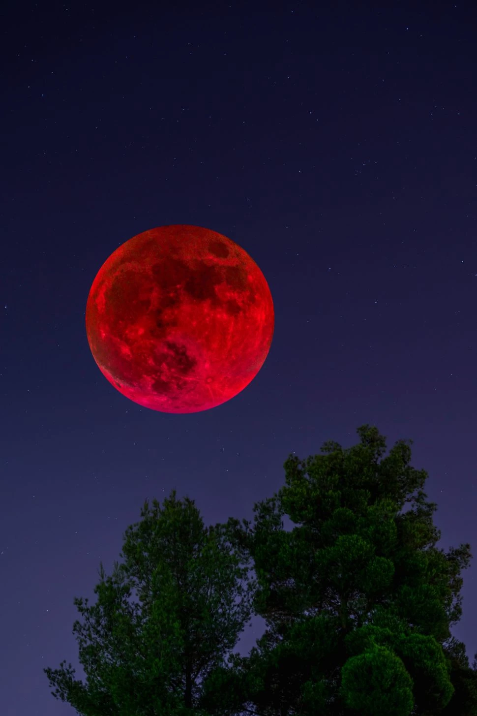 Bagaimana cara memotret gerhana bulan super blood baik dengan kamera maupun dengan ponsel pintar?